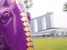 Singapore’s 11-11-11 Elephants Stampede