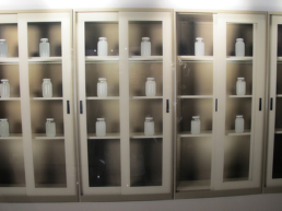 2011 SOVEREIGN ASIAN ART PRIZE