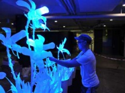 Luminance! Festival 2012 - Singapore 1st Youth Light Festival