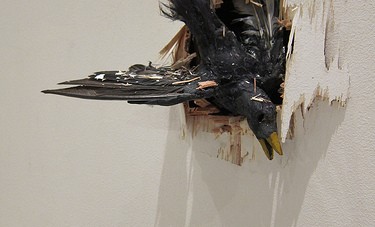 The Obits – An Exhibition by Grieve Perspective