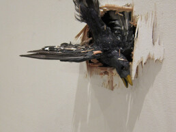 The Obits - An Exhibition by Grieve Perspective