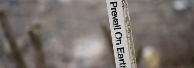 Tohoku – Road to the future – Art and photo Exhibition Public event • By Relief 2.0