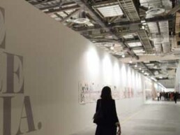 The Inside view-Art Stage through an artist’s eyes