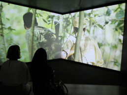 President’s Young Talents 2013 at the Singapore Art Museum (till 15 September 2013)