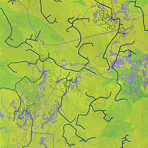 Ng Joon Kiat, “Green Series: Nature, Borders, Space”