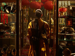 Fiona Tan. Disorient.
