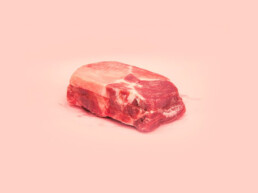 ake beef, from the series A Guide to the Flora and Fauna of the World, 2013