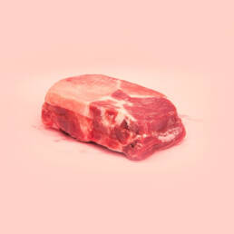 ake beef, from the series A Guide to the Flora and Fauna of the World, 2013
