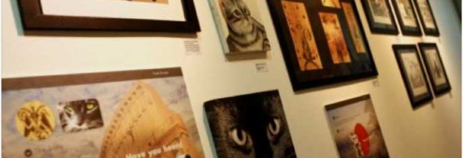 Singapore’s Very Own Cat Museum – Come in. Open Up. Get Inspired
