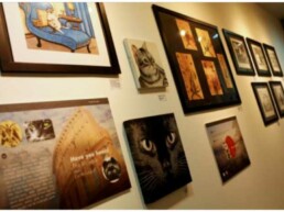 Singapore’s Very Own Cat Museum – Come in. Open Up. Get Inspired