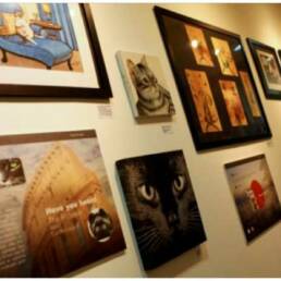 Singapore’s Very Own Cat Museum – Come in. Open Up. Get Inspired