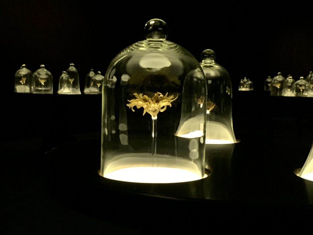 Installation by Ezzam RAHMAN, 11