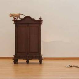 Monkeys in the House, 3 Imitate Monkeys, Desk, Cabinet, Books, Dimensions Variable, 2014 by Thai artist Sakarin Krue-On
