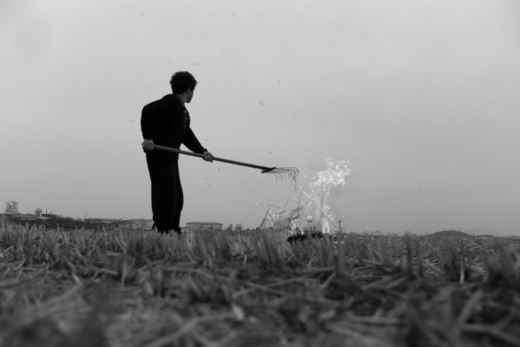 Noh Suntag, The strAnge ball, 2004–07, digital print, dimensions variable. © Courtesy the artist