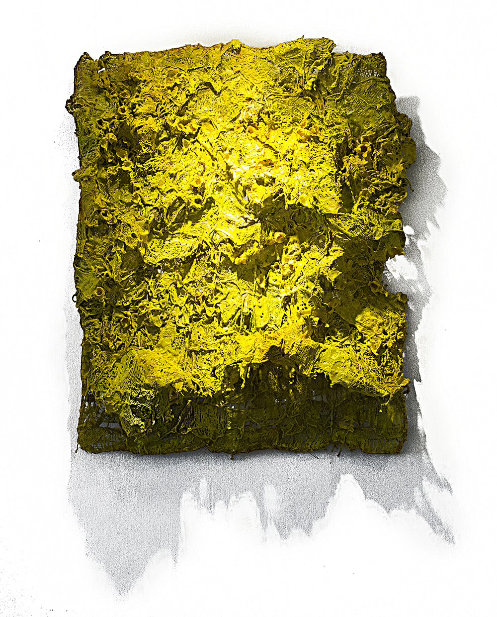 Sunshine Groves, Cloth, Paper, Rope, Wool, Plaster, Epoxy Resin, Paint and Wire, 96 x 77 x 20 cm, 2017