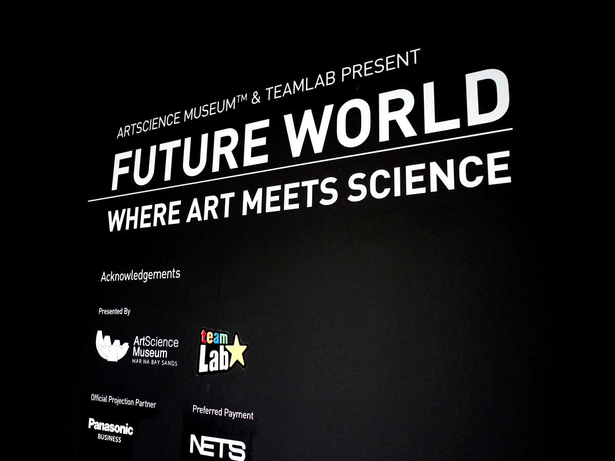 Future World: Where Art Meets Science - in conversation with teamLab