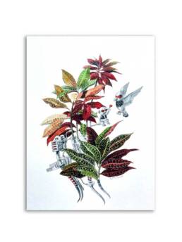 Art Prints by William Sim – Set 1: Eavesdroping the Caladium, Courting the Garden Croton, A Spray of Butterflies, Swathe of Velvet Tones