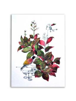 Art Prints by William Sim – Set 1: Eavesdroping the Caladium, Courting the Garden Croton, A Spray of Butterflies, Swathe of Velvet Tones