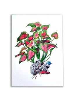 Art Prints by William Sim – Set 1: Eavesdroping the Caladium, Courting the Garden Croton, A Spray of Butterflies, Swathe of Velvet Tones