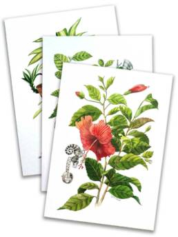 Art Prints by William Sim – Set 2: Cornstalk Plant, Red-Leaf Hibiscus, Lantana