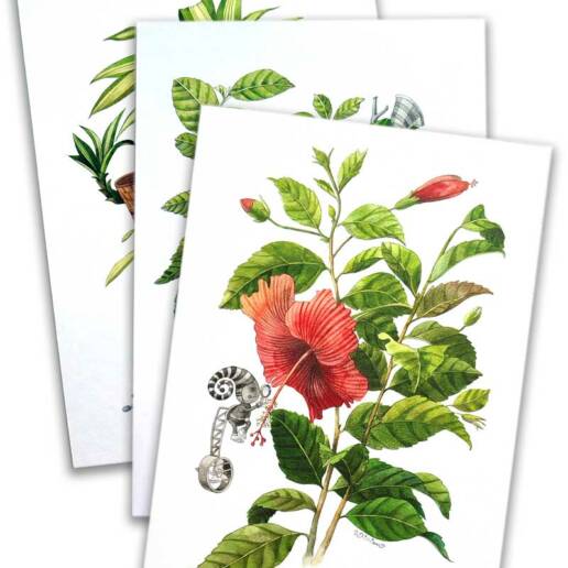 Art Prints by William Sim – Set 2: Cornstalk Plant, Red-Leaf Hibiscus, Lantana