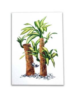 Art Prints by William Sim – Set 2: Cornstalk Plant, Red-Leaf Hibiscus, Lantana