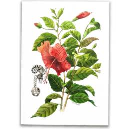 Art Prints by William Sim – Set 2: Cornstalk Plant, Red-Leaf Hibiscus, Lantana