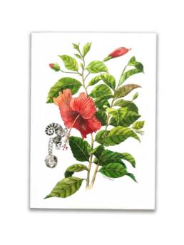 Art Prints by William Sim – Set 2: Cornstalk Plant, Red-Leaf Hibiscus, Lantana