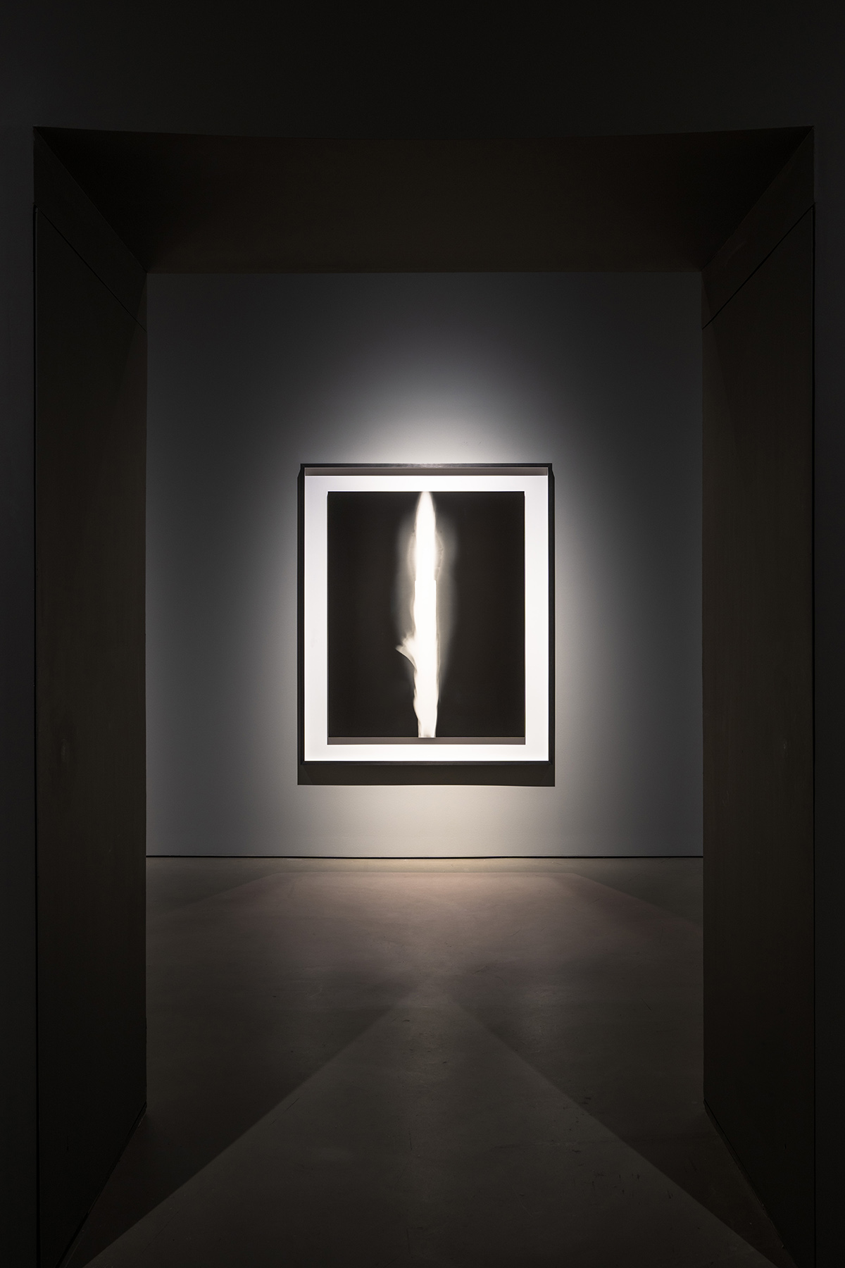 Figure 7: Installation view of Hiroshi Sugimoto, 'In Praise of Shadows 980806' (1998). Image courtesy of Singapore Art Museum. 
