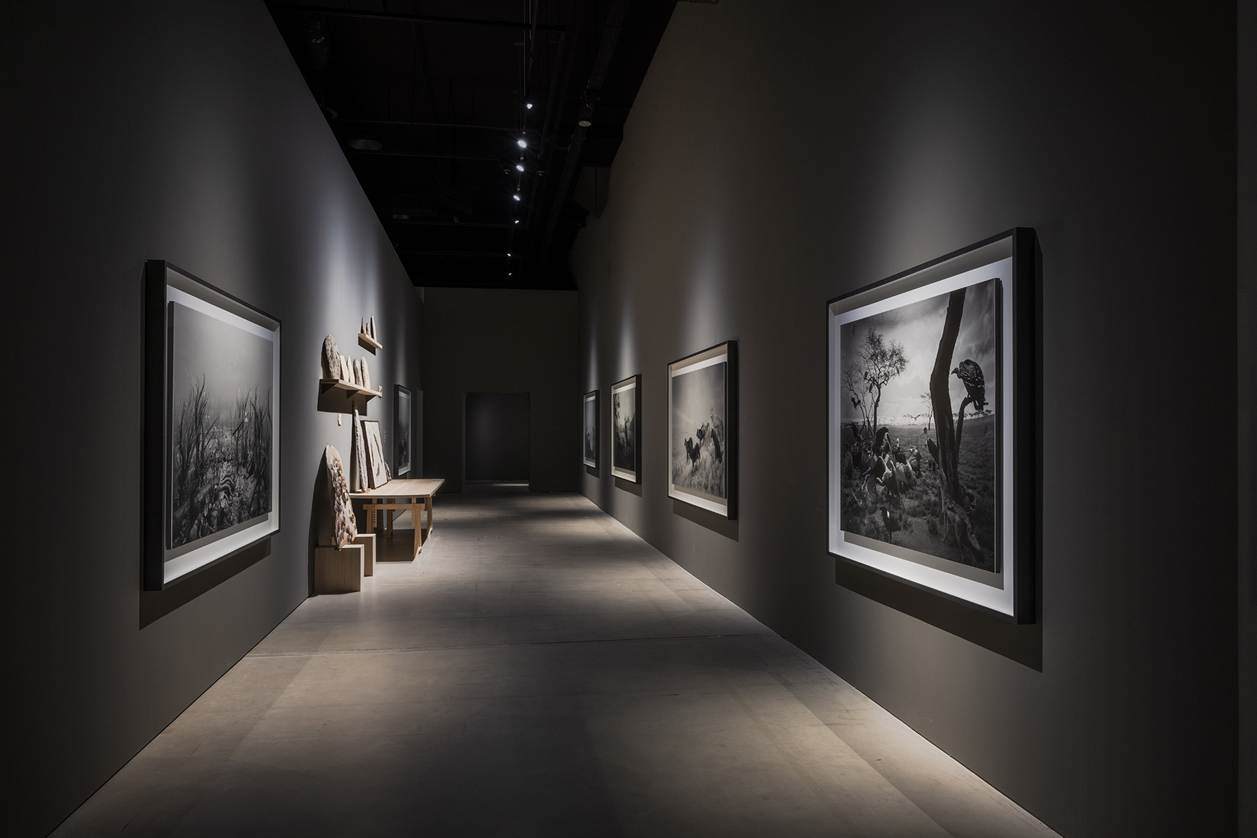 Figure 1: Installation view of Hiroshi Sugimoto’s Dioramas (1975 – 2025), as part of ‘Hiroshi Sugimoto: Form Is Emptiness’. Image courtesy of Singapore Art Museum.